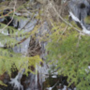 Meet your Posher, Tanya